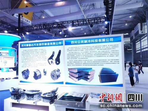 南充汽配企業(yè)閃耀成都國際汽車零配件及售后服務(wù)展覽會(huì)，展示本土創(chuàng)新實(shí)力